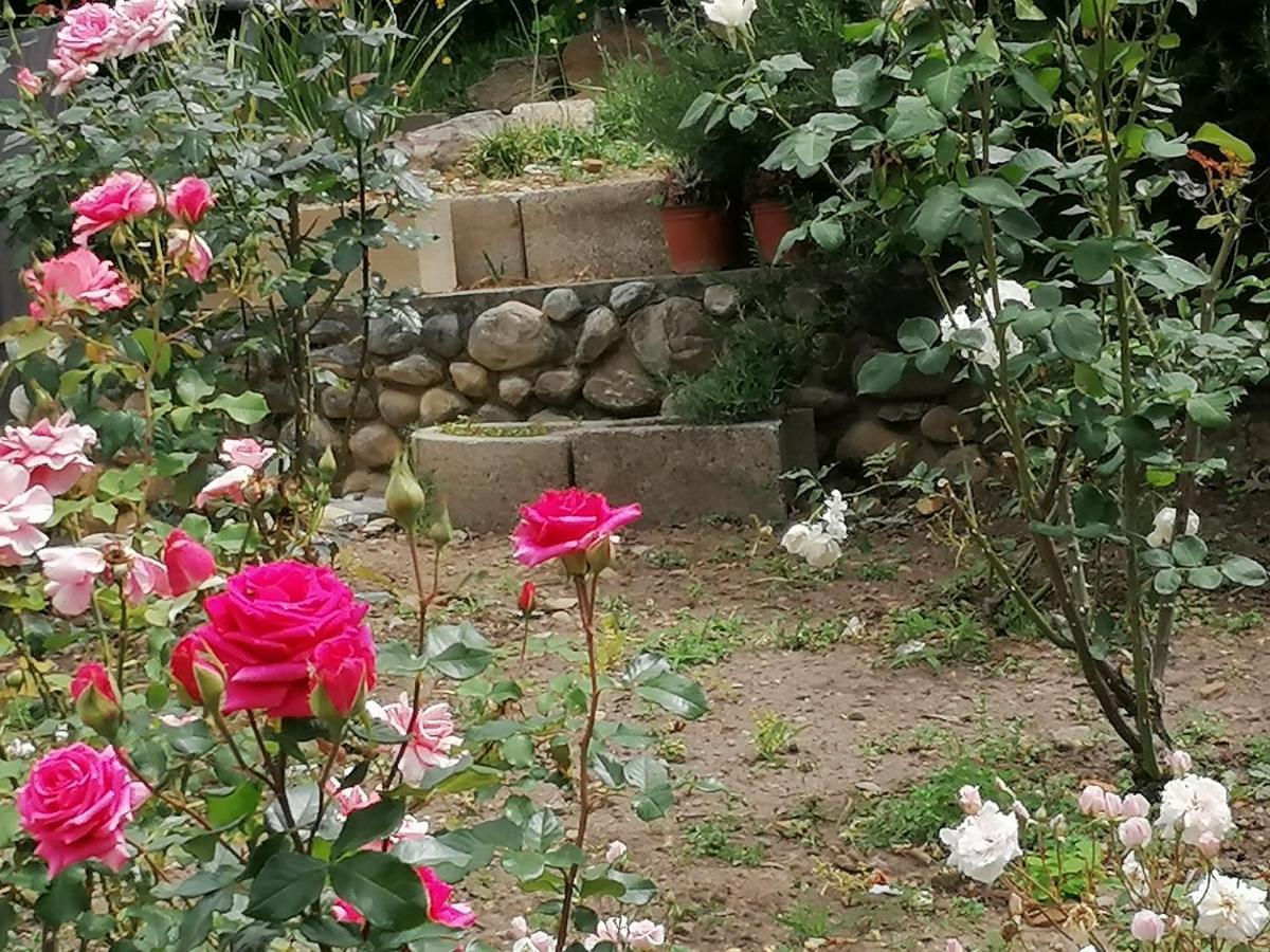 Aanhuizen Guest House Swellendam Ngoại thất bức ảnh